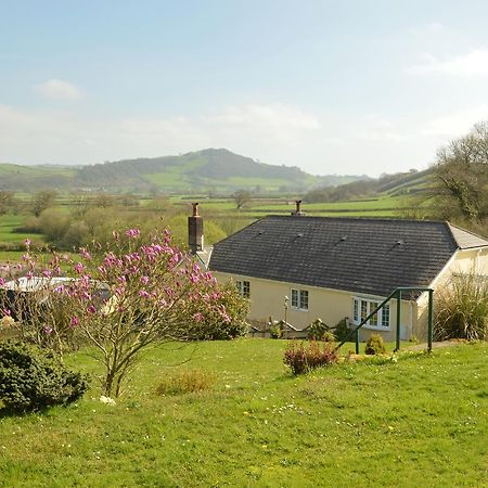 Bryn Hebog Bed & Breakfast Carmarthen Bagian luar foto