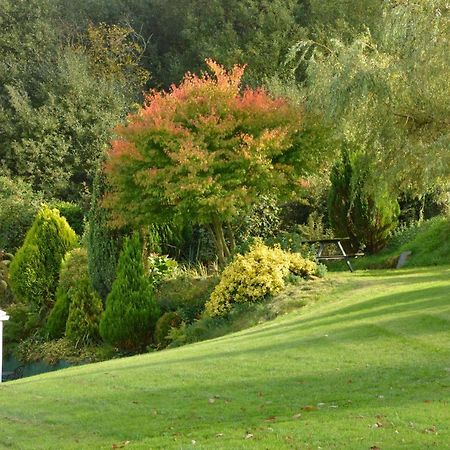 Bryn Hebog Bed & Breakfast Carmarthen Bagian luar foto