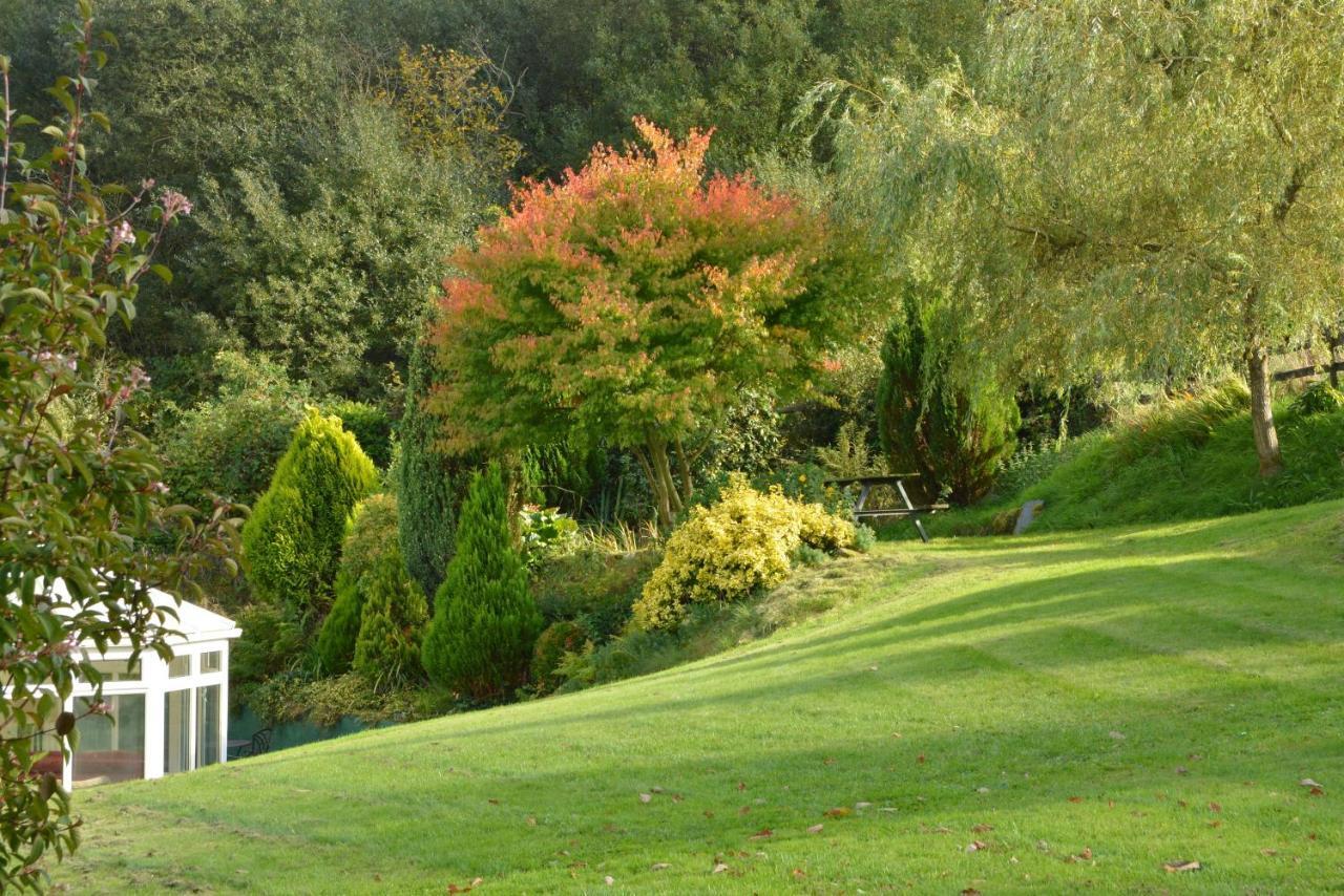 Bryn Hebog Bed & Breakfast Carmarthen Bagian luar foto